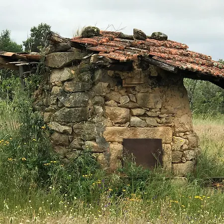 Casa Duplex Em / Duplex House In * Oledo