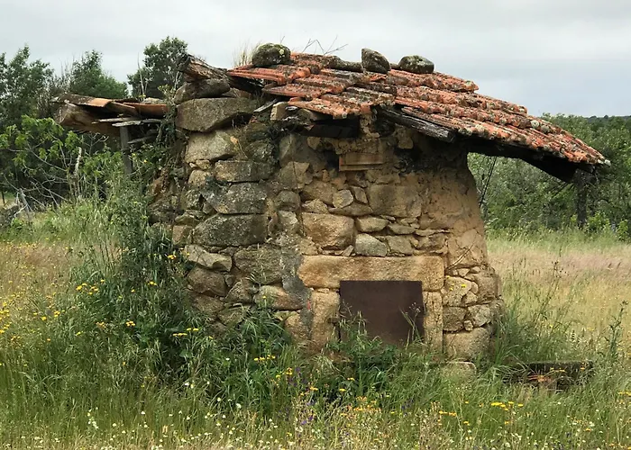 Casa Duplex Em / Duplex House In * Oledo